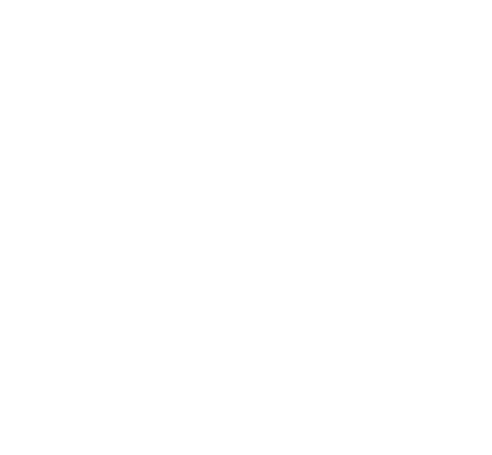Pakistan Software Export Board