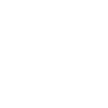 sap-icon